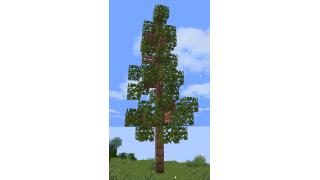 cool tree