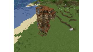 Trap for donut smp or some servers