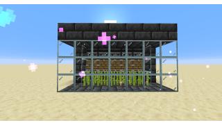 Suger Cane Farm