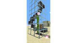 Bamboo Farm