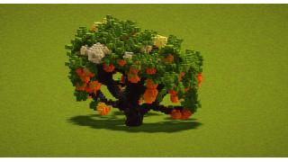 Big Orange Tree