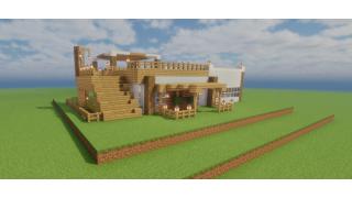 Modern Fancy Survival House