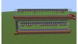 sugar cane farm