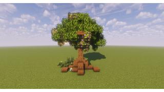 Cute Oak Tree Schematic