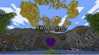 Sumo SMP spawn