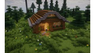 Starter Forest House