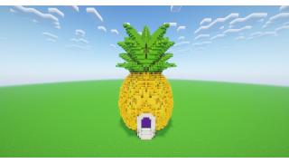 Pineapple Nether Portal