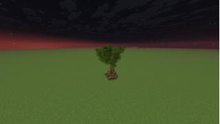 Oak tree schematic
