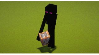 Enderman With Command Block