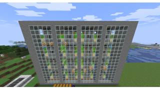 Sugar Cane Farm
