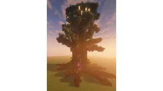 tree nether portal
