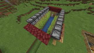 Basic sugar cane farm!