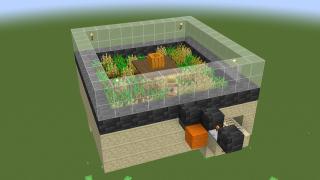Villager Wheat Farm