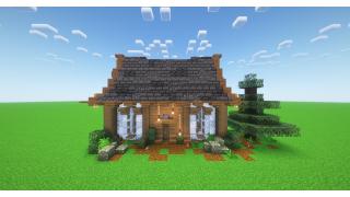 Spruce Starter House