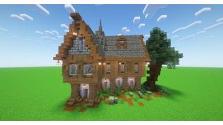 Medieval Spruce House