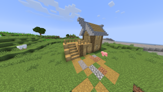 Easy, beautiful starter house