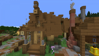 House 11