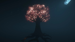 huge cherry tree