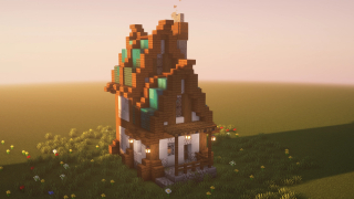 NotBlackhawk's Fanasty Tall House