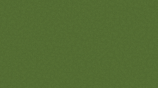 VERY FLAT TERRAIN