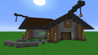 Mediaval Starter House