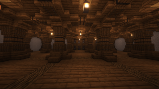 Medieval basement