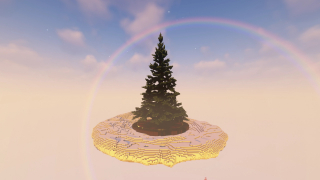 Undecorated Christmas Tree