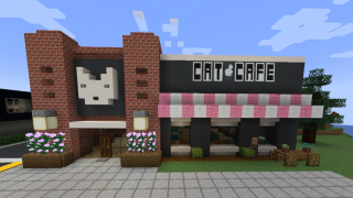 Cat Cafe