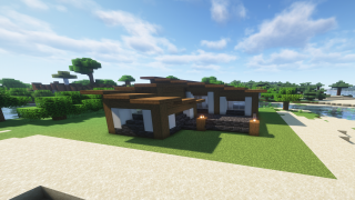 Cozy modern house