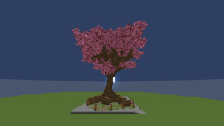 Huge Sakura Tree