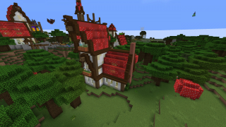 House 1 FalseSymmetry S8