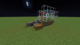 Tall Flower Farm