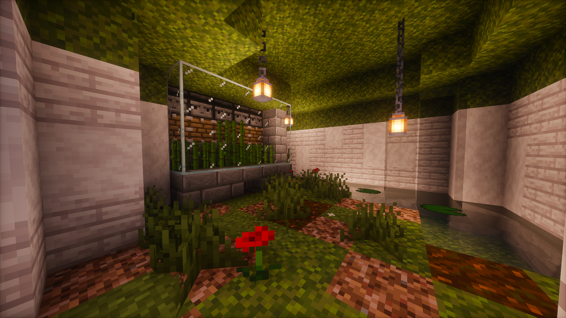 Sugarcane Farm Aesthetic – additional image