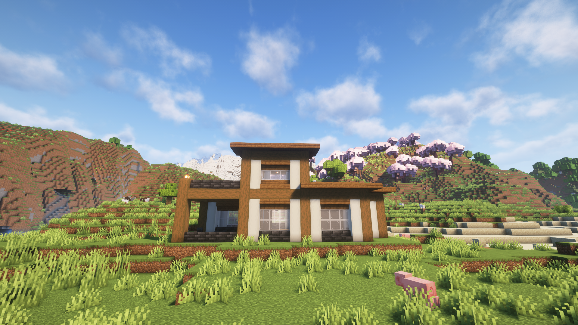 Medium Modern House – additional image