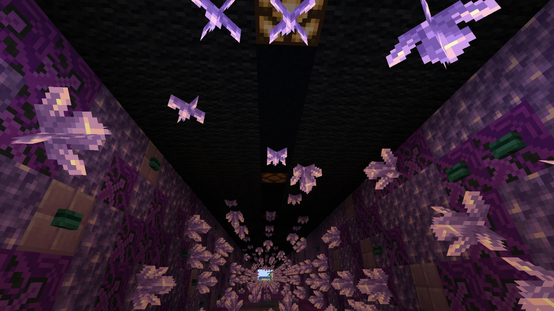Amethyst Sculk Lit Tunnel – additional image