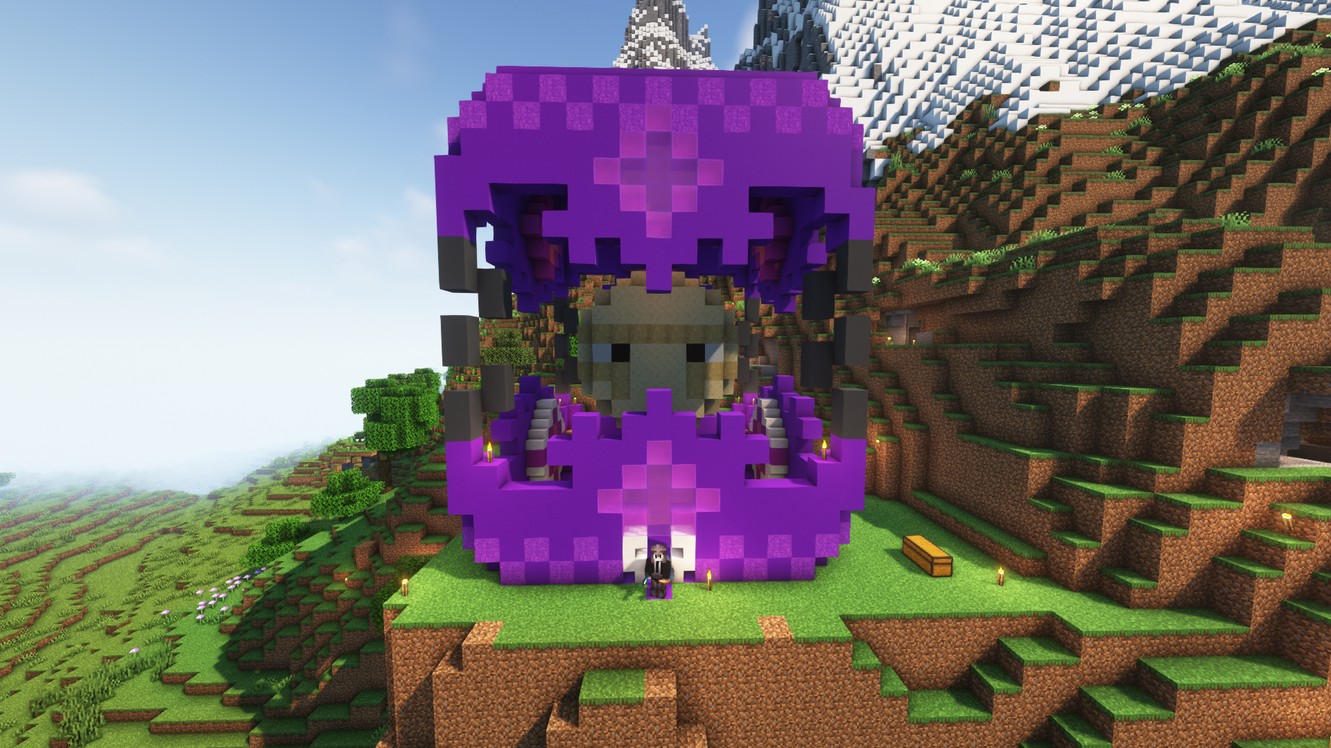 Shulker shop – additional image