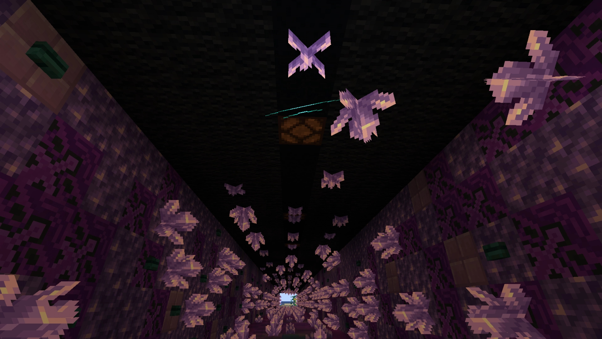 Amethyst Sculk Lit Tunnel – additional image