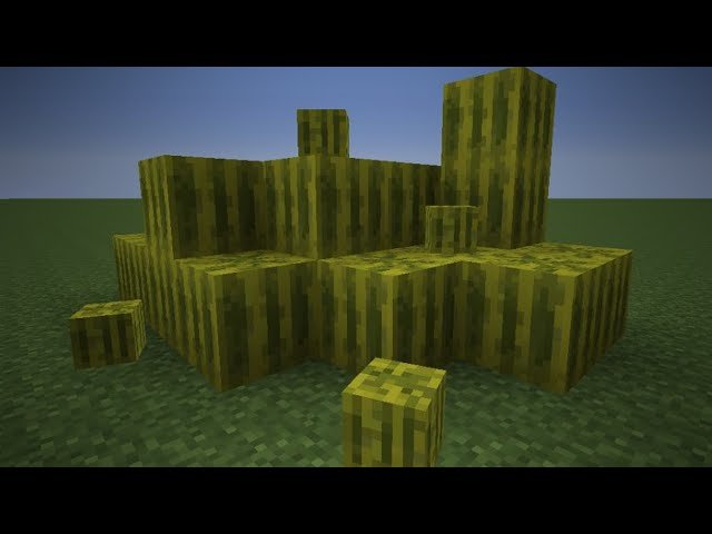 Melon Farm – key image