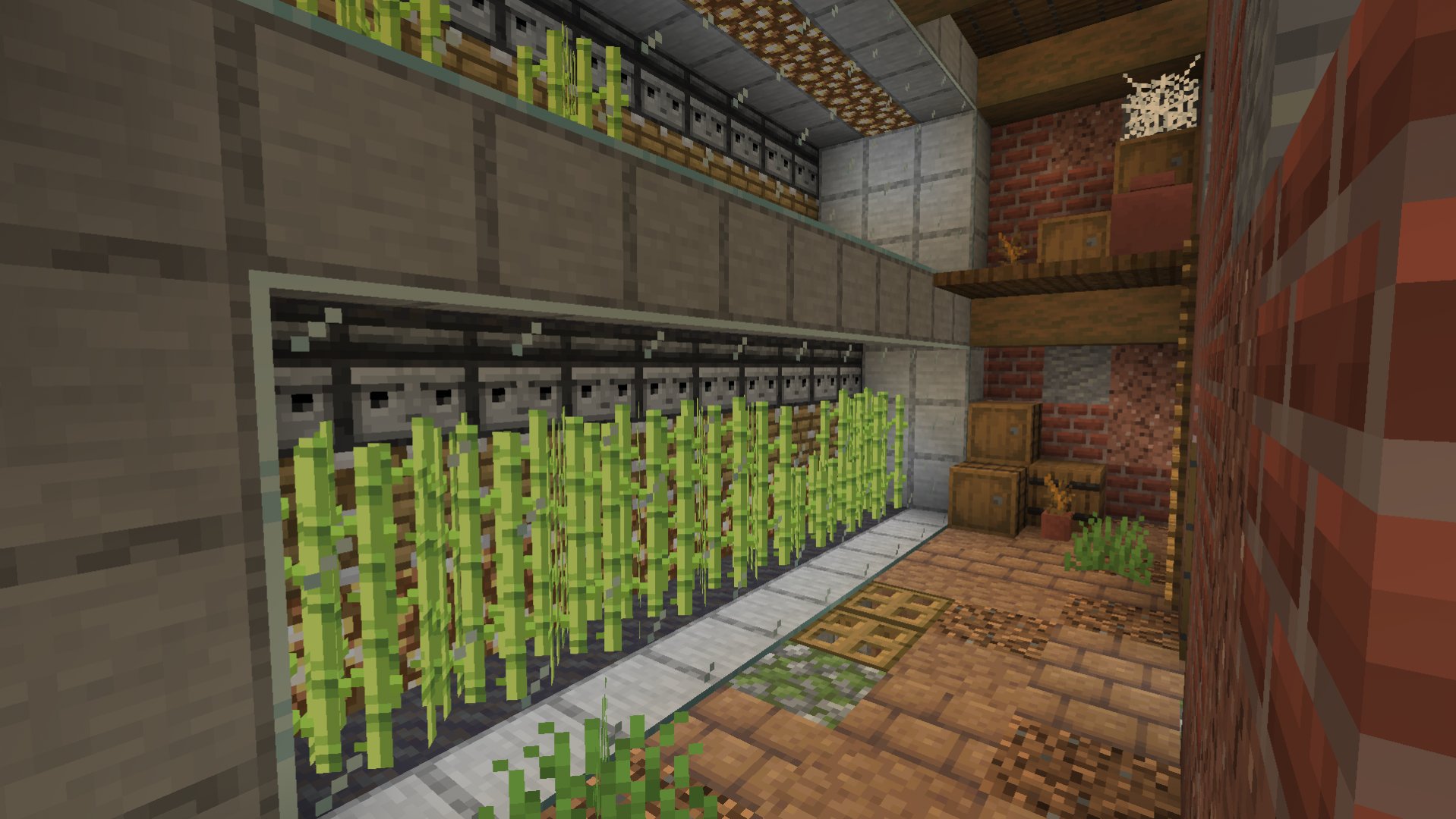 suger cane and vine farm – additional image