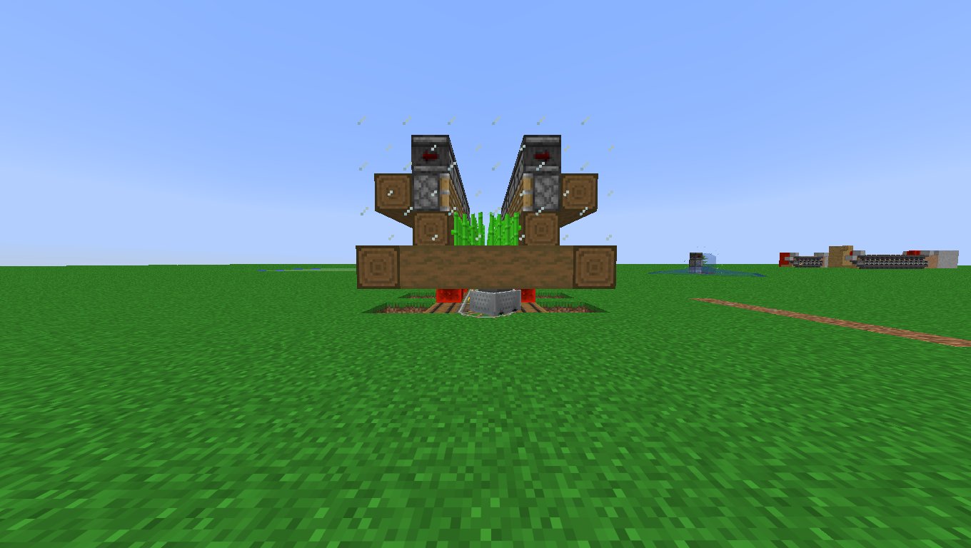 Small Efficent and Spruce sugar cane farm – additional image