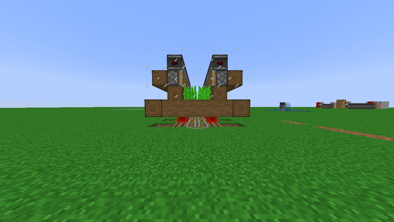 Small Efficent and Spruce sugar cane farm – additional image