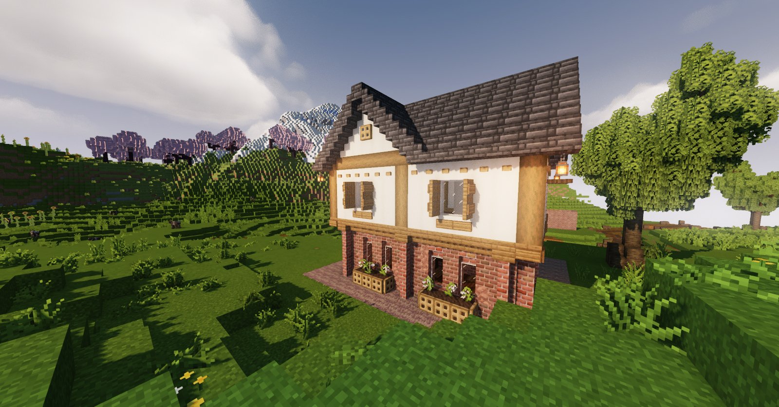 Tiny Tudor Cottage – additional image