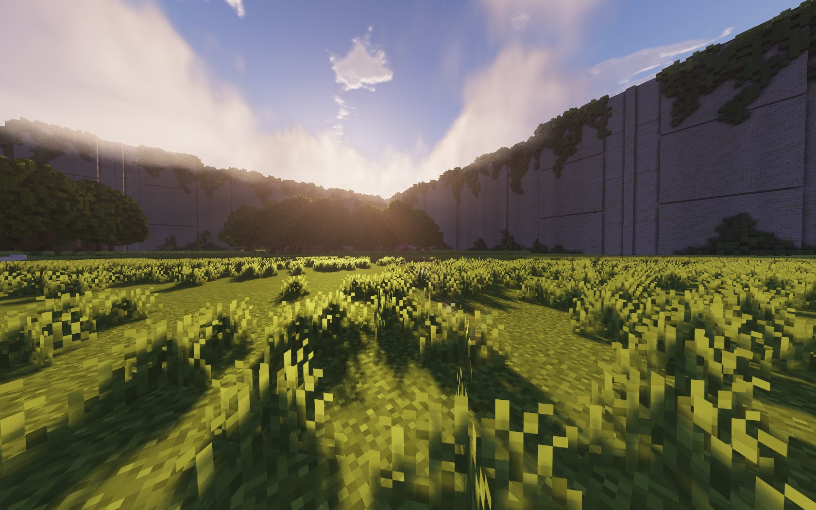 The Maze Runner – additional image