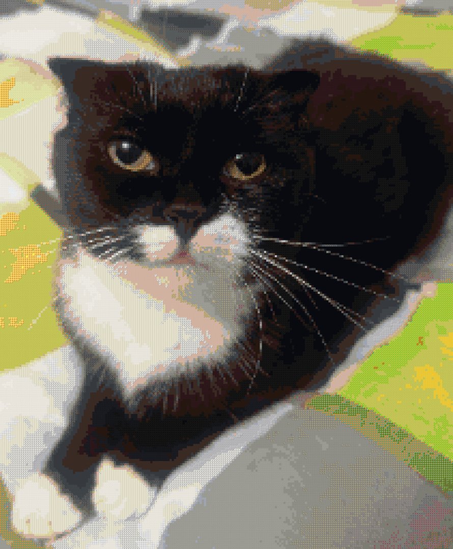 Cat – key image