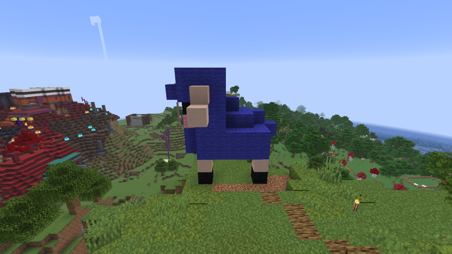 Blue Sheep – additional image