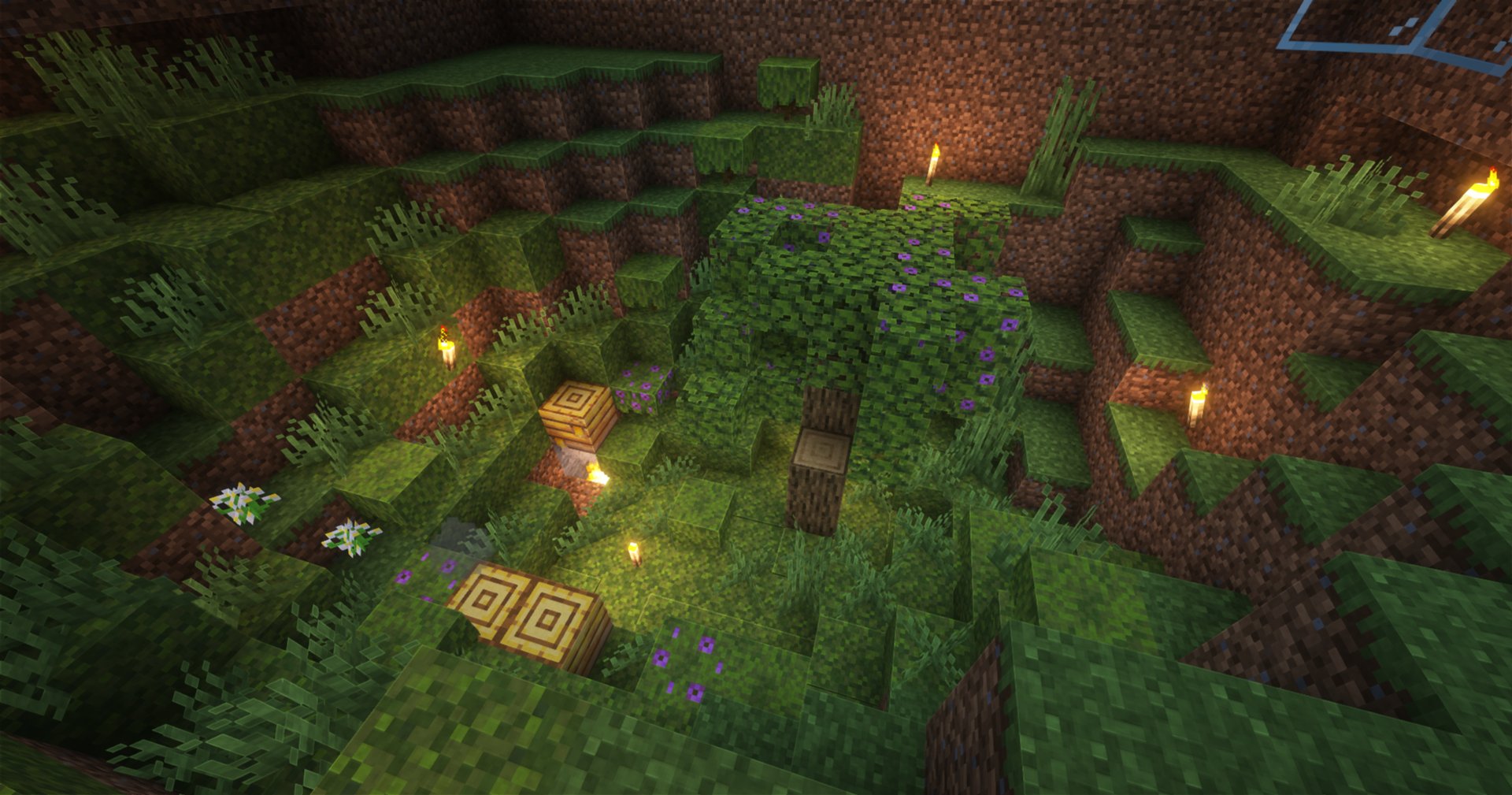 Bee Farm – additional image