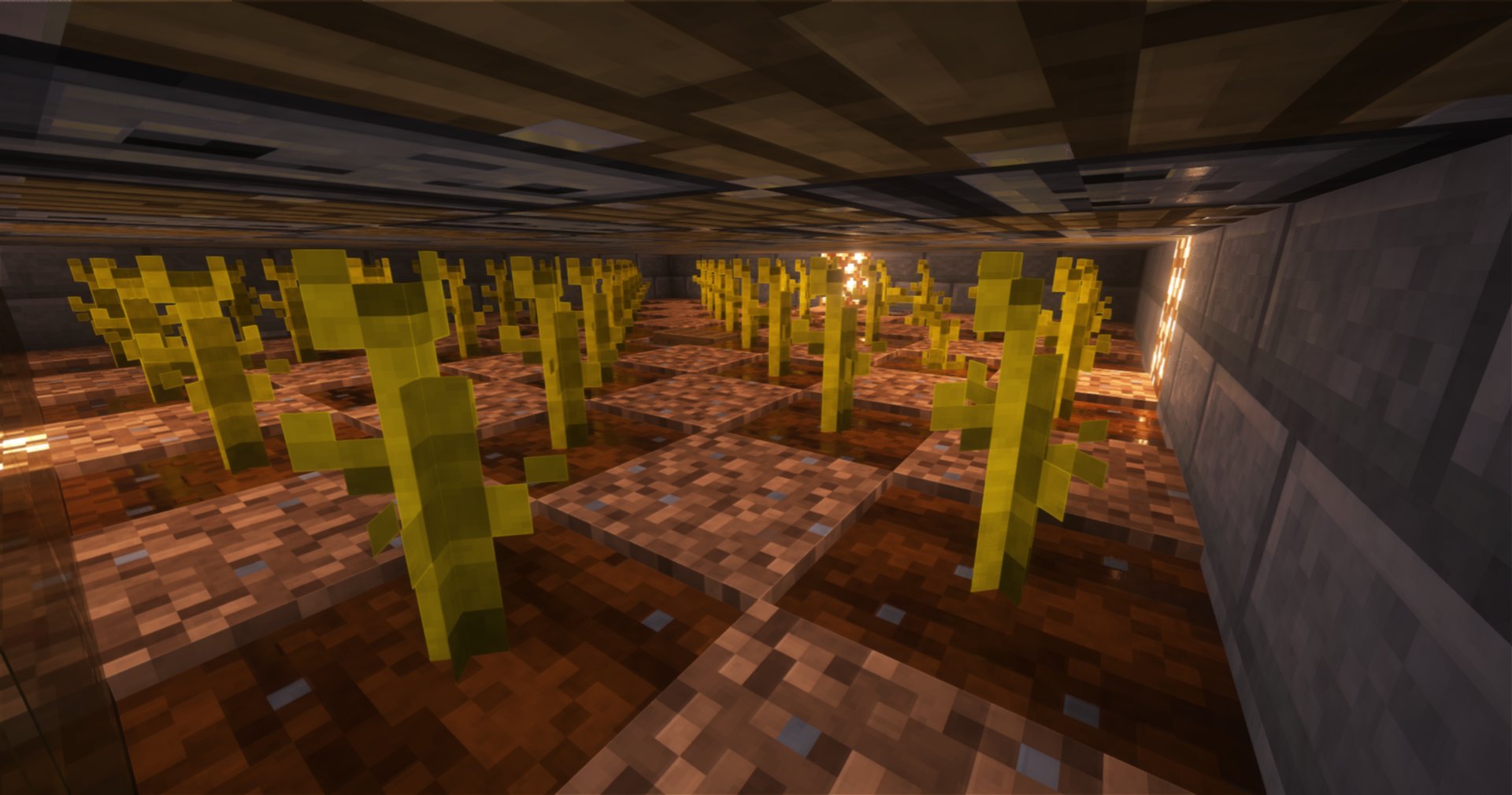 Automatic Melon Farm – additional image