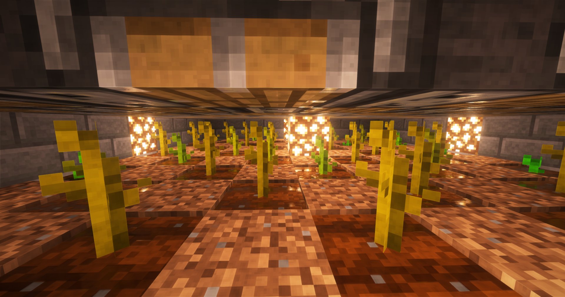 Pumpkin Farm – additional image