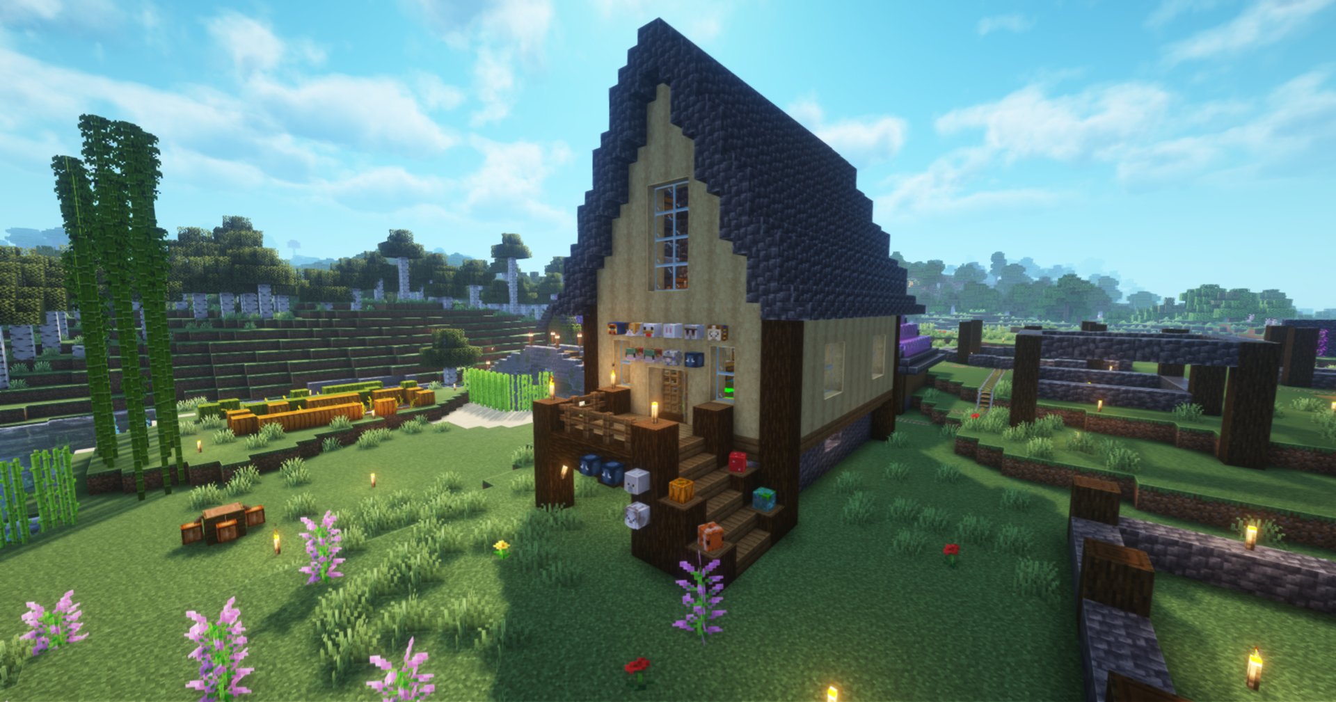 Starter Base – additional image