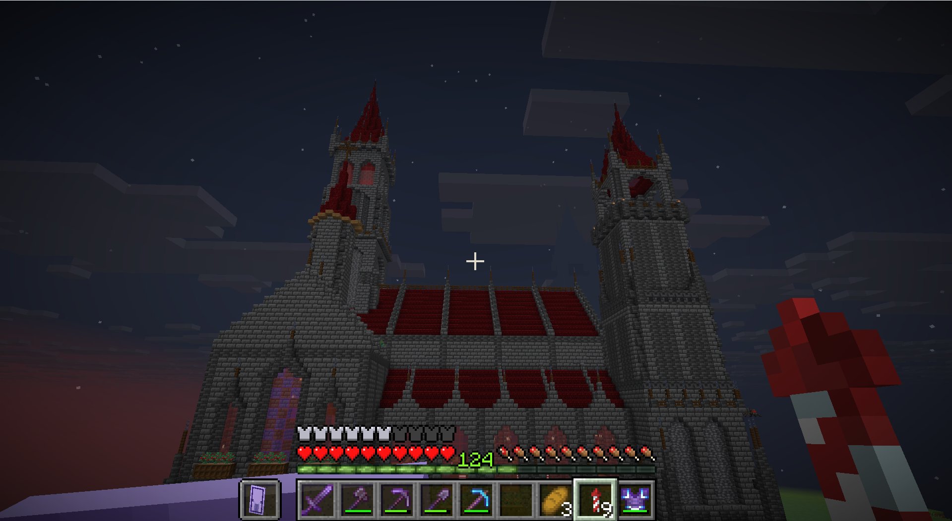 Red Catedral – additional image